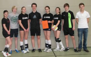 Volley_2012_Artikel-200KB